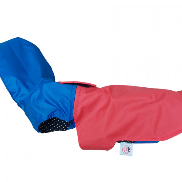 PhotoRoom-20230829_181350 (1)